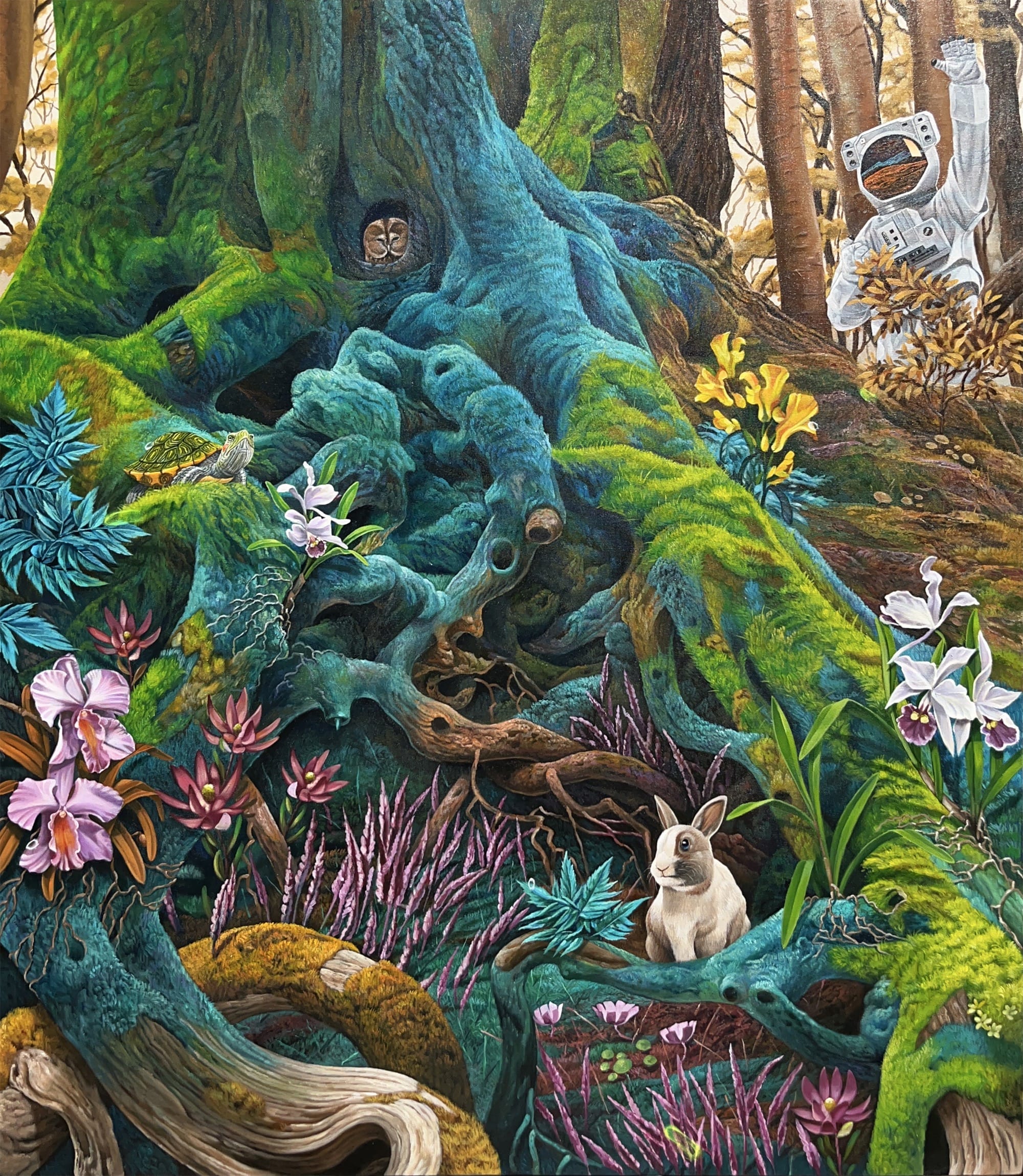 a green and blue moss covered root is a habitat for vivid plants and animals