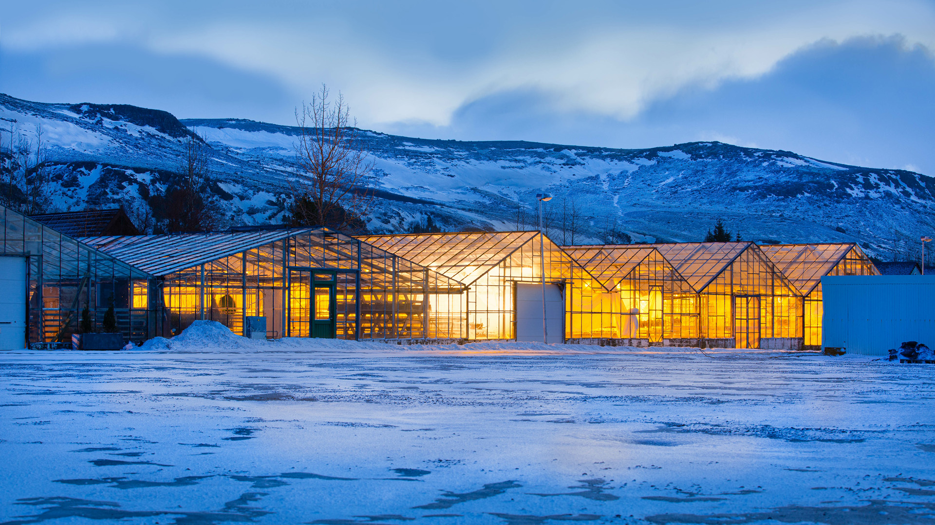 Greenhouses