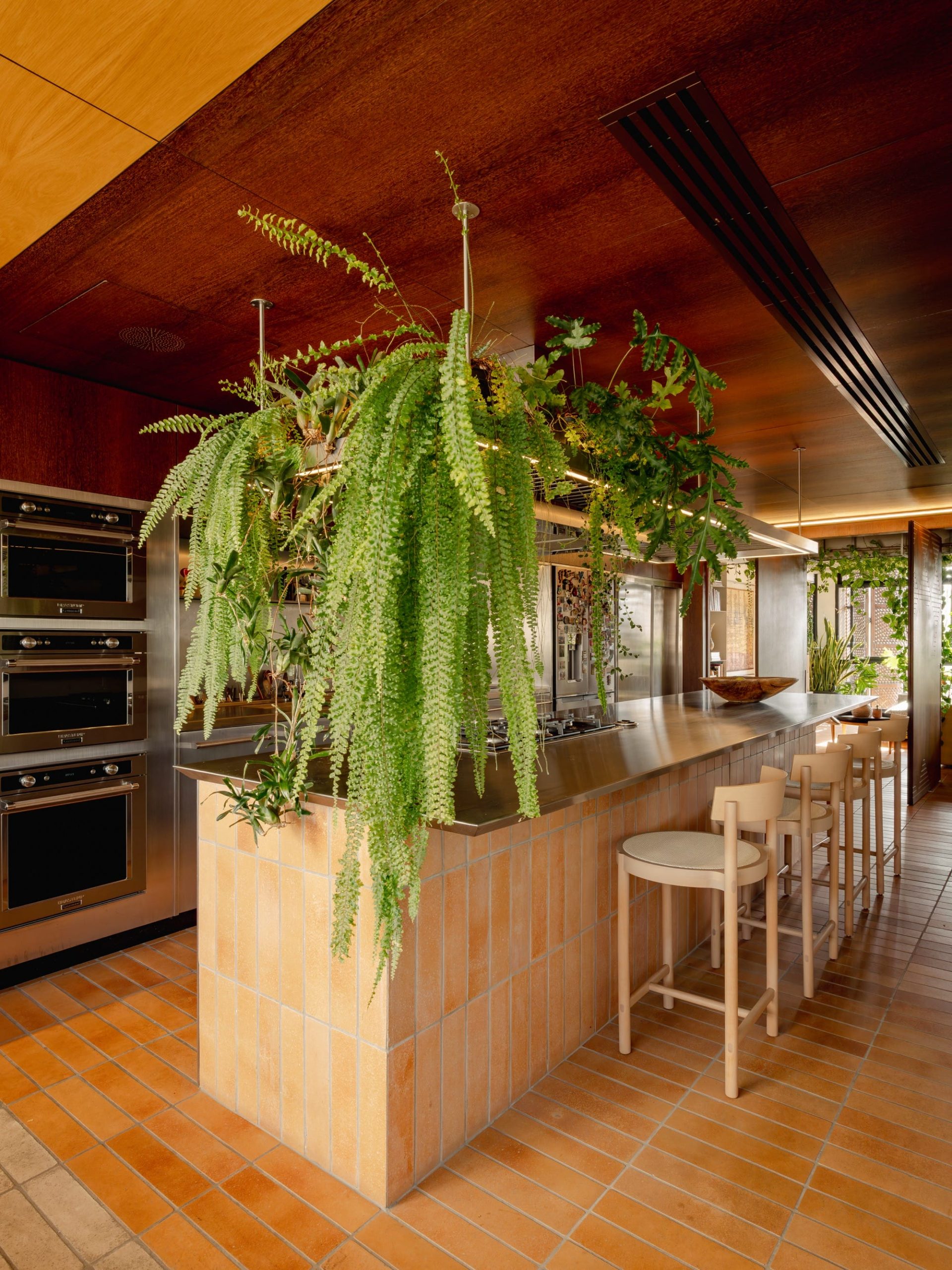 An apartment kitchen designed by Guto Requena with houseplants draping from frameworks above the counters